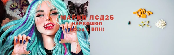 СК Балахна